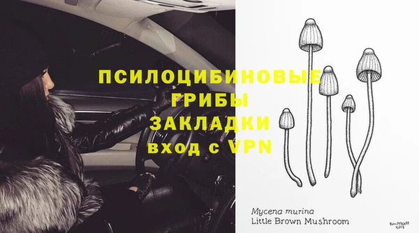 мдпв Бугульма