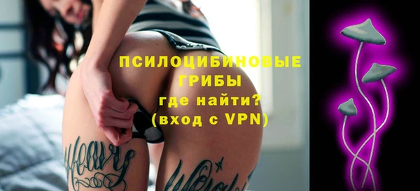 мдпв Бугульма